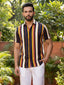 TerraDesi Men’s Multi-Color Vertical Stripe Viscose Rayon Shirt - Regular Fit Casual Half Sleeve
