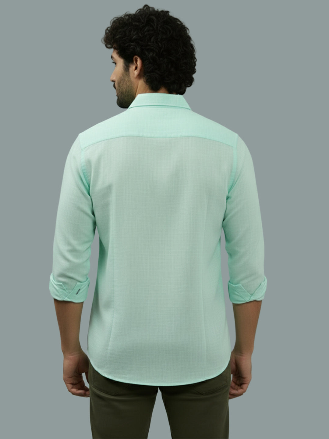 TerraDesi Ruby Regal Solid Cotton Blend Formal Shirt