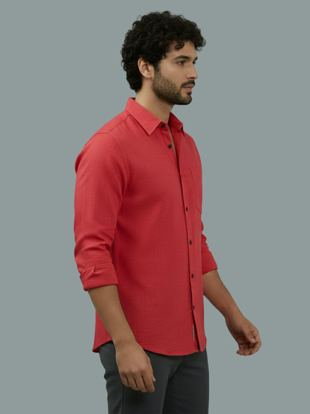 TerraDesi Ruby Regal Solid Cotton Blend Formal Shirt