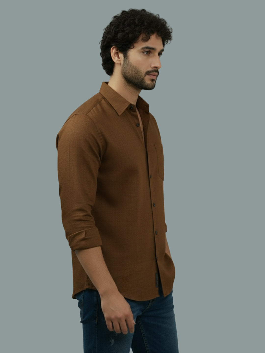 TerraDesi Ruby Regal Solid Cotton Blend Formal Shirt